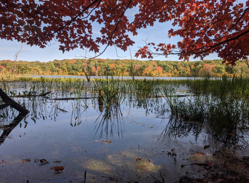 Saint John's Abbey Arboretum, United States